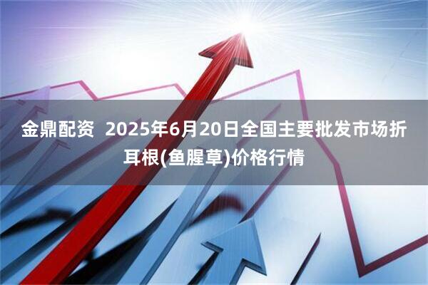 金鼎配资 2025年6月20日全国主要批发市场折耳根(鱼腥草)价格行情