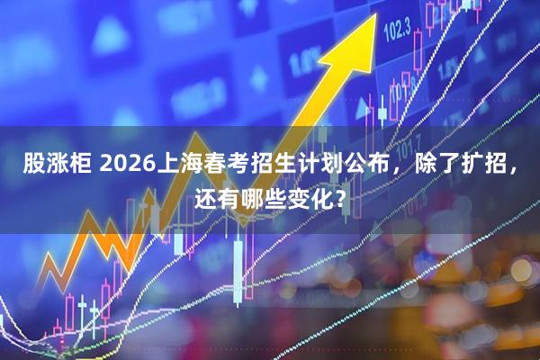 股涨柜 2026上海春考招生计划公布,除了扩招,还有哪些变化?