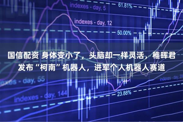 国信配资 身体变小了,头脑却一样灵活,稚晖君发布“柯南”机器人,进军个人机器人赛道
