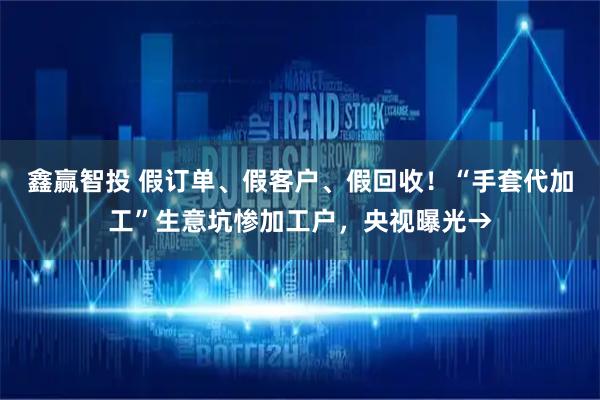 鑫赢智投 假订单、假客户、假回收！“手套代加工”生意坑惨加工户，央视曝光→