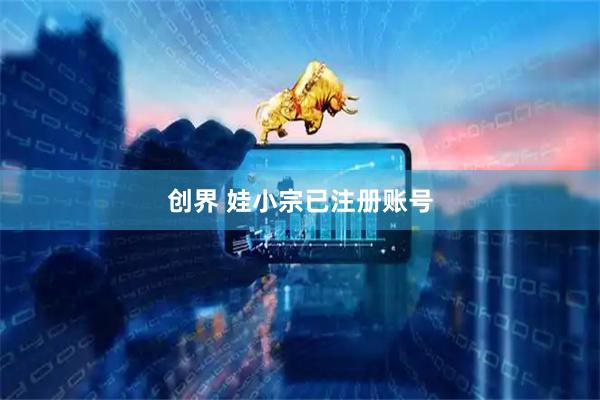 创界 娃小宗已注册账号